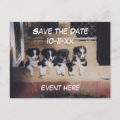 Save The Date Border Collie Puppies Dog Aankondigingskaart (Voorkant)