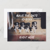 Save The Date Border Collie Puppies Dog Aankondigingskaart (Voorkant / Achterkant)