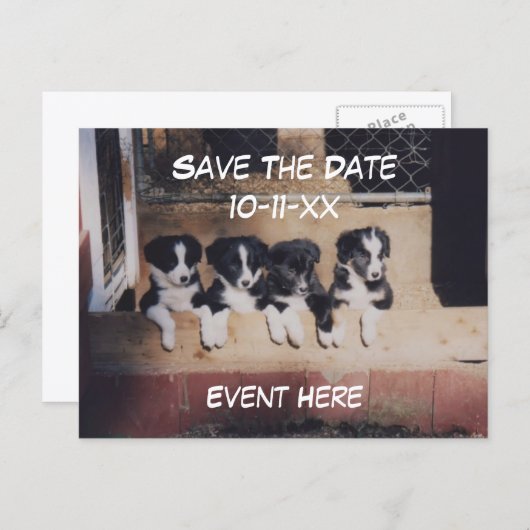 Save The Date Border Collie Puppies Dog Aankondigingskaart (Voorkant / Achterkant)