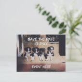 Save The Date Border Collie Puppies Dog Aankondigingskaart (Staand voorkant)