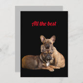 Save The Date Bouledogue français Merci (Devant / Derrière)