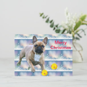 Save The Date Bouledogue français Noël French Bulldog