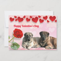 Bouledogue français Saint-Valentin French Bulldog