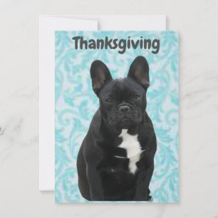 Save The Date Bouledogue français Thanksgiving French Bulldog