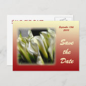 Save the Date briefkaart - Witte Calla Lelies (Voorkant / Achterkant)