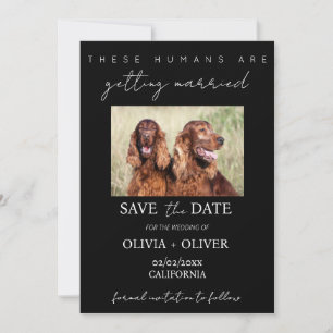 Save The Date Budget, minimaliste, noir & blanc Photo personnali