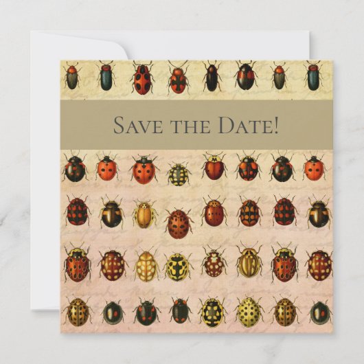 Save The Date Bug d'insectes coccinelle de coccinelle (Devant)