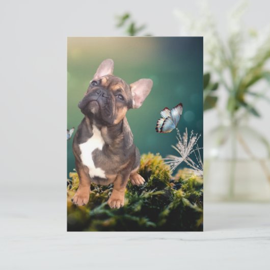 Save The Date Bulldog français (Debout devant)