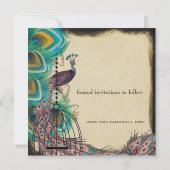 Save The Date Cage à oiseaux paon musical aubergine Save the Dat (Dos)