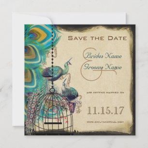 Save The Date Cage à oiseaux paon musical Oiseaux d'amour Sauveg