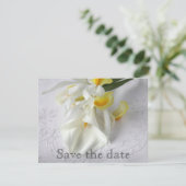 Save The Date Calla lys et iris (Debout devant)