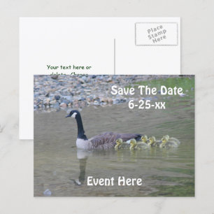 Save The Date Canadese Ganzen Natuur Aankondigingskaart