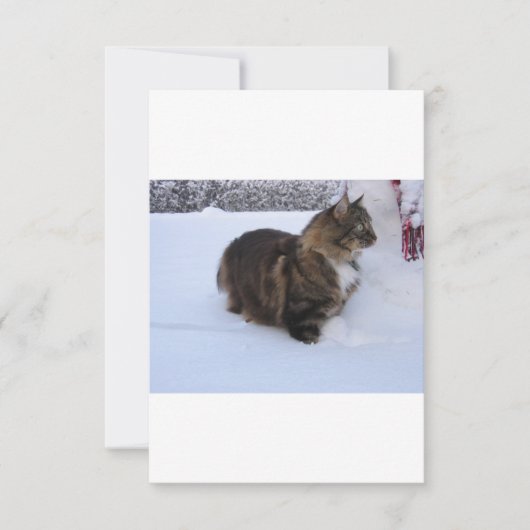 Save The Date chat des forêts norvégiennes dans la neige (Devant)
