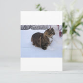 Save The Date chat des forêts norvégiennes dans la neige (Debout devant)