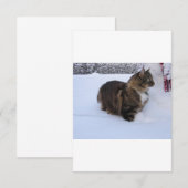 Save The Date chat des forêts norvégiennes dans la neige (Devant / Derrière)