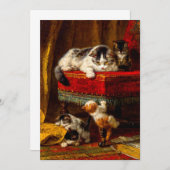 Save The Date Chat et chatons Jouer avec chaise (Devant / Derrière)