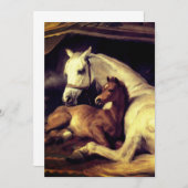 Save The Date Chevaux d'atterrisseur (Devant / Derrière)