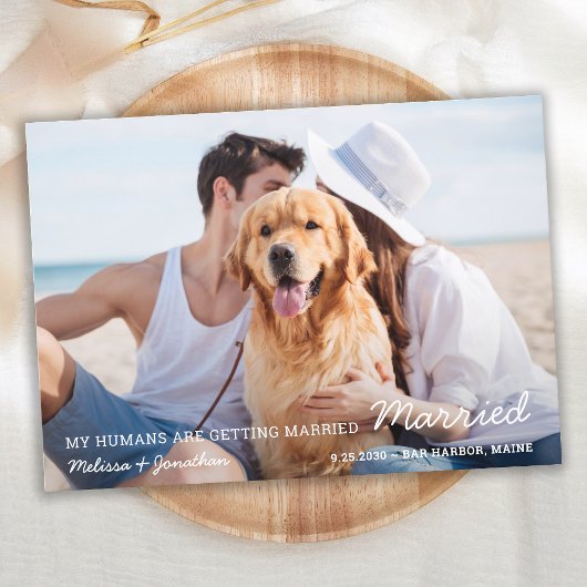 Save The Date Chien photo moderne Mariage animal de compagnie