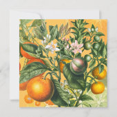 Save The Date Citrus vintage Enregistrer La Date (Dos)