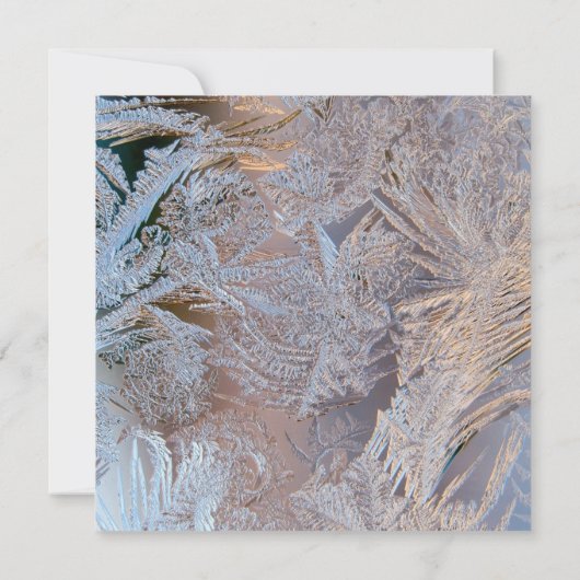 Save The Date Classy Frosted Enregistrer la date (Dos)