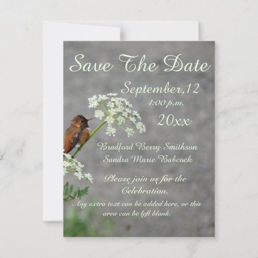 Save The Date Colibri et fleur de dentelle de la reine Ann (Devant)