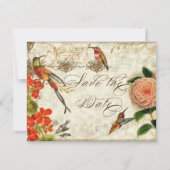 Save The Date Colibris botaniques Camellia Enregistrer la date (Dos)