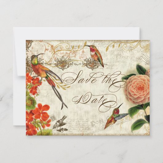 Save The Date Colibris botaniques Camellia Enregistrer la date (Dos)