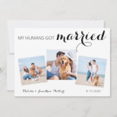 Save The Date Collage Photo Personnalisé Animaux de compagnie Ch (Devant)