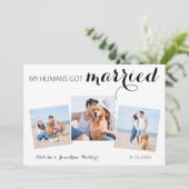 Save The Date Collage Photo Personnalisé Animaux de compagnie Ch (Debout devant)