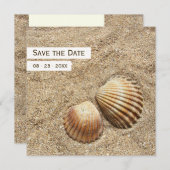 Save The Date Coquillages - Annonce de sauvegarde de la date (Devant / Derrière)