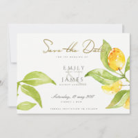 COULEUR D'EAU VERTE FOLIAGE OLIVE SAUVER LA DATE