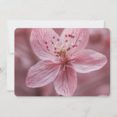 Save The Date Créez votre propre - Joli Closeup de Fleur Rose (Dos)