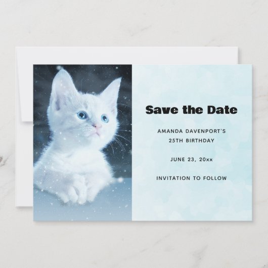 Save The Date Cuite Kitten blanc avec de beaux yeux bleus (Devant)