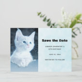 Save The Date Cuite Kitten blanc avec de beaux yeux bleus (Debout devant)