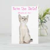 Save The Date Cute Kitten Enregistrer la date Annonces (Debout devant)