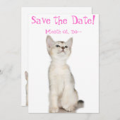 Save The Date Cute Kitten Enregistrer la date Annonces (Devant / Derrière)