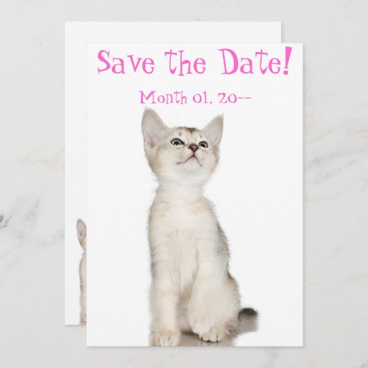 Save The Date Cute Kitten Enregistrer la date Annonces (Devant / Derrière)