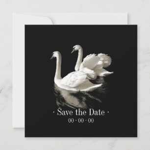 Save The Date Cygnes romantiques - Annonce de sauvegarde de la d
