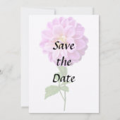 Save The Date Dahlia Rose Avec Dew (Dos)