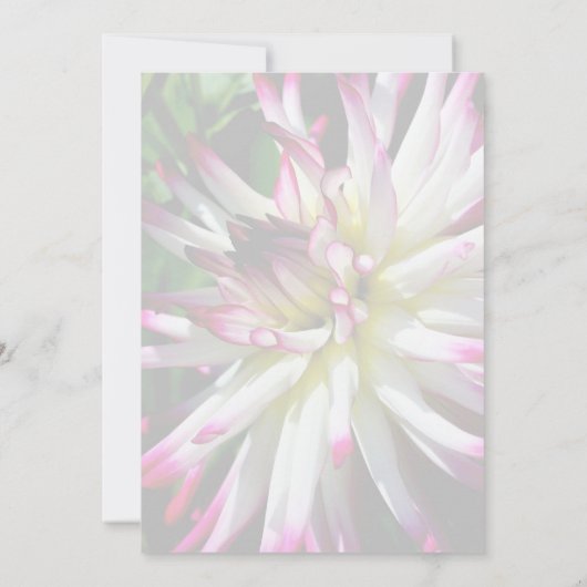 Save The Date Dazzling Dahlia Mariage (Dos)