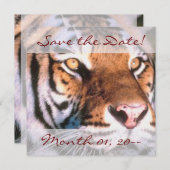 Save The Date De Belles Annonces De Tigre (Devant / Derrière)