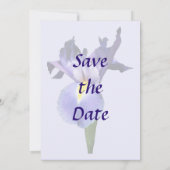 Save The Date Delicate Purple Iris Enregistrer la date (Dos)