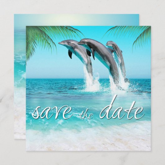 Save The Date DOLPHINS EN JEU OCÉAN TROPICAL Enregistrer la date (Devant / Derrière)