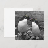 Save The Date Éclaboussure de couleur de pingouin (Devant / Derrière)