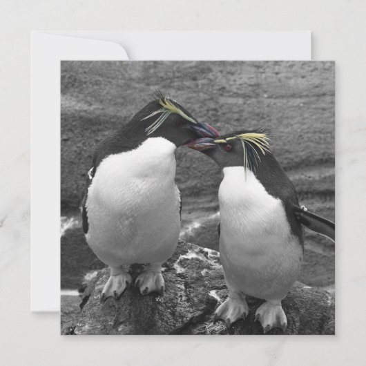 Save The Date Éclaboussure de couleur de pingouin (Devant)