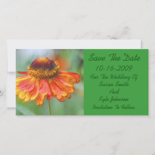 Save The Date Économies florales de mariage de marguerite orange