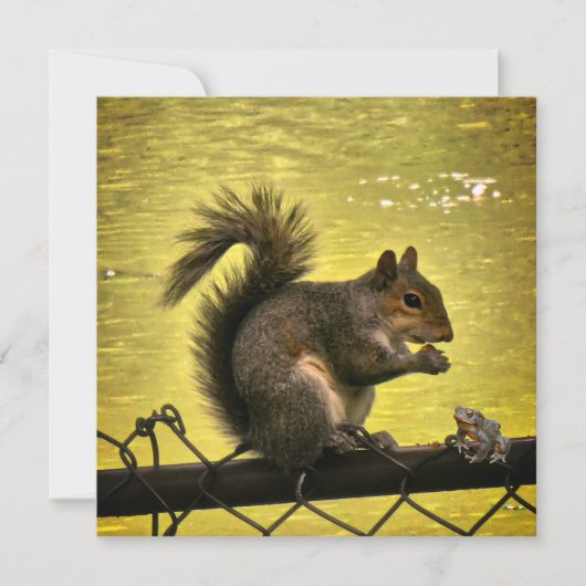 Save The Date Écureuil gris de l'Est (Sciurus carolinensis) (Devant)