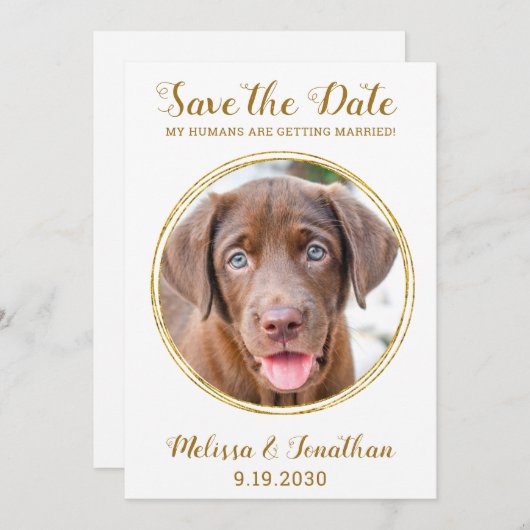 Save The Date Elegant Chic Gold Custom Pet Photo Chien Mariage (Devant / Derrière)