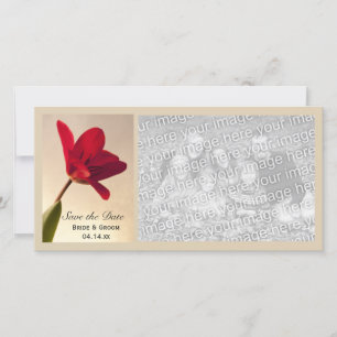 Save The Date Élégant mariage de la tulipe rouge Enregistrer la 