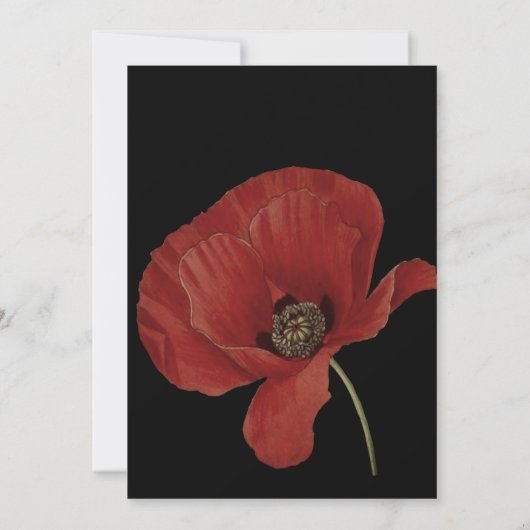 Save The Date Elégant Noir Rouge Poppy Mariage Enregistrer La Da (Dos)
